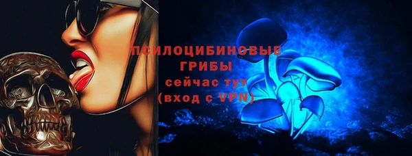 ГАЛЛЮЦИНОГЕННЫЕ ГРИБЫ Белоозёрский