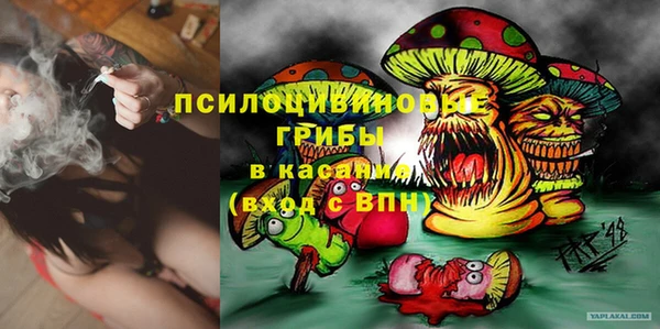 мдпв Балахна