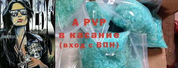 ГАЛЛЮЦИНОГЕННЫЕ ГРИБЫ Белоозёрский