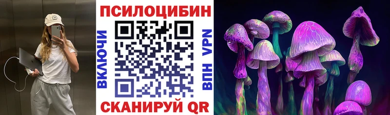 Псилоцибиновые грибы ЛСД  blacksprut рабочий сайт  Яранск 